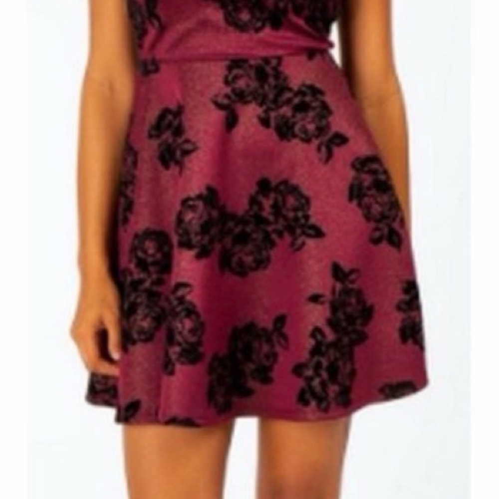 Francesca's Collections Velvet and Black Floral Dress